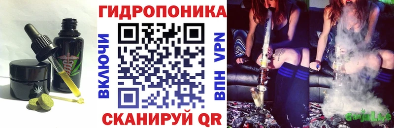 Canna-Cookies марихуана  Купить где  Соль-Илецк 