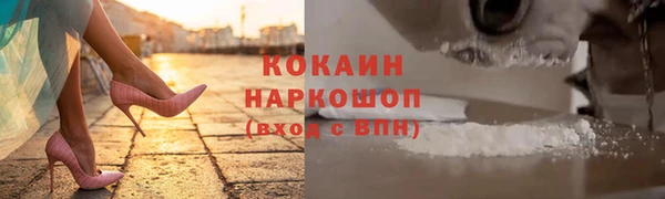 шишки Наволоки