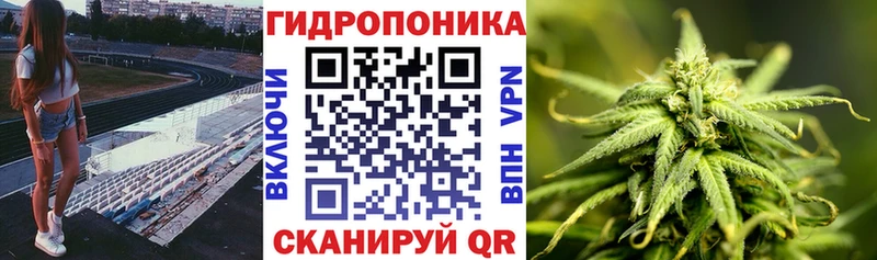 Марихуана VHQ Соль-Илецк